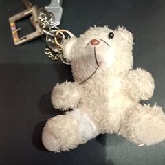 Keychain sleutels, as reported by allGo Almere using iLost