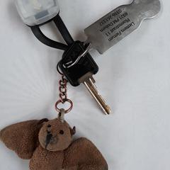 Fietssleutel, som rapportert til iLost