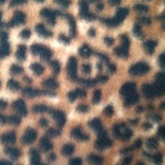 شال، كما تم الإبلاغ عنه بواسطة IKEA Gent عبر iLost