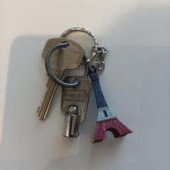 Klíč, jak nahlášeno Arriva Limburg Zuid pomocí iLost