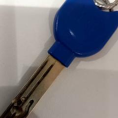 المفاتيح (متنوعة)، كما تم الإبلاغ عنه بواسطة allGo Almere عبر iLost