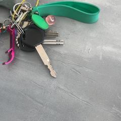 Clés, a été signalé par Arriva Achterhoek-Rivierenland utilisant iLost