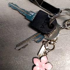 Chiavi Met roze bloemen sleutelhanger, come riportato da Arriva Friesland / Groningen utilizzando iLost