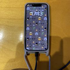 Iphone, as reported to iLost