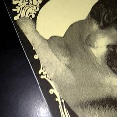 Revista, como reportado por TivoliVredenburg utilizando o iLost