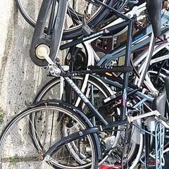 Pánsky bicykel batavus, ako bolo nahlásené Stadswerk072 pomocou iLost