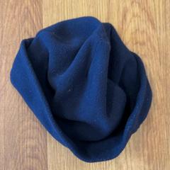 Beanie, som rapportert av GVB ved bruk av iLost