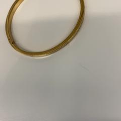 Pulseira, segundo informou HvA Amstelcampus usando iLost