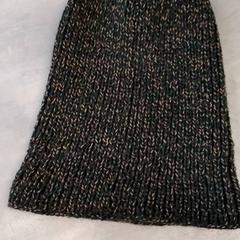 Muts, zoals gemeld door Arriva Friesland / Groningen met iLost