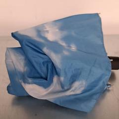 Umbrella, as reported by Keolis Lund using iLost