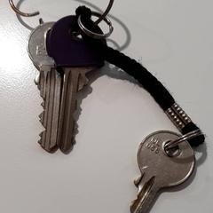 Klíče, jak nahlášeno Gemeente Oost Gelre pomocí iLost