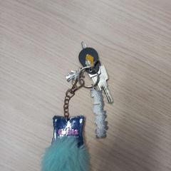 Keychain Sleutelbos Sleutels, as reported by Arriva West-Brabant using iLost