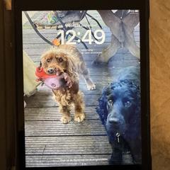 Ipad, as reported to iLost
