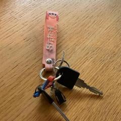 Keychain Roze, as reported by Stad Hasselt using iLost