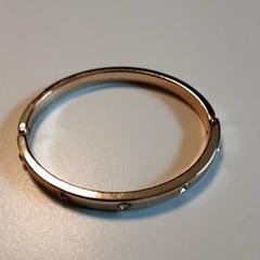 Náramok, ako bolo nahlásené Diergaarde Blijdorp pomocou iLost