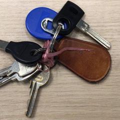 Llavero, ha sido reportado por Gemeente Arnhem con iLost