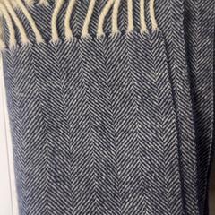 Xaile, como reportado por Koninklijk Theater Carré utilizando o iLost