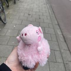 Peppa pig pluche knuffel a été signalé sur iLost