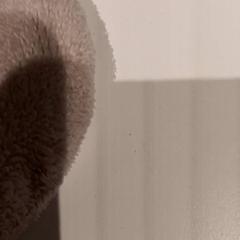 Knuffellap, zoals gemeld door De Efteling met iLost