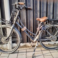 fiets, jak bylo nahlášeno na iLost