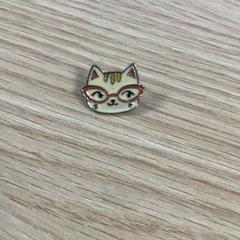 Broche Kat, segundo informou Diakonessenhuis Utrecht usando iLost