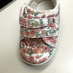 Scarpa Met bloemen, come riportato da Burgers' Zoo utilizzando iLost