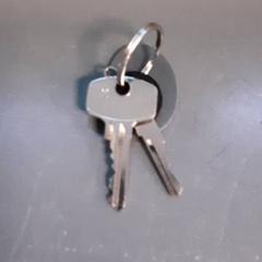 Schlüssel, gemeldet von Diergaarde Blijdorp über iLost