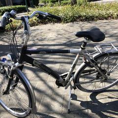 Fiets Batavus, iLost-i jakinarazi zaion moduan