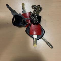 Nøkkelring, som rapportert av Jaarbeurs ved bruk av iLost