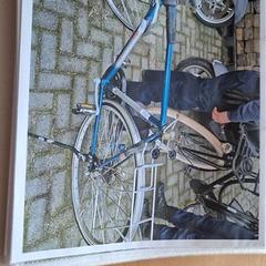 Men’s bike, as reported by Gemeente Roermond using iLost
