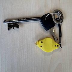 Llaves, ha sido reportado por Connexxion Haarlem IJmond con iLost