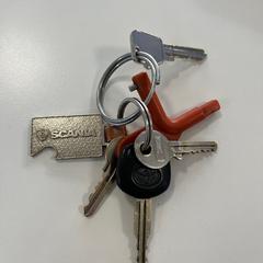 Sleutelbos, zoals gemeld door Gemeente Ede met iLost