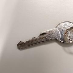 열쇠, iLost를 사용하여 Centraal magazijn에 보고됨