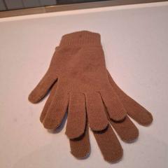 Handschoenen Lichtbruin, zoals gemeld door Rijksmuseum van Oudheden met iLost