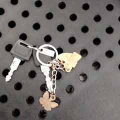 Klíč, jak nahlášeno Arriva Infoshop Enschede pomocí iLost