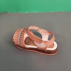 Sandaaltje, ako bolo nahlásené Diergaarde Blijdorp pomocou iLost