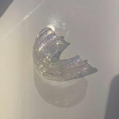 마우스 가드 NIGHT, iLost를 사용하여 Room Mate Bruno에 보고됨