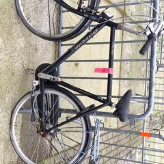 Bicicleta masculina Gazelle, segons ha informat Stadswerk072 mitjançant iLost