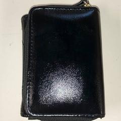 Portfel, zgłoszono przez Regio Antwerpen - Brussel przy użyciu iLost