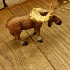 Zabawka, zgłoszono przez DierenPark Amersfoort przy użyciu iLost