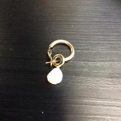 Oorbel, zoals gemeld door Breng Nijmegen met iLost