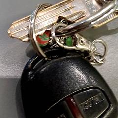 Schlüsselanhänger, gemeldet von Qbuzz GD Groningen HS über iLost