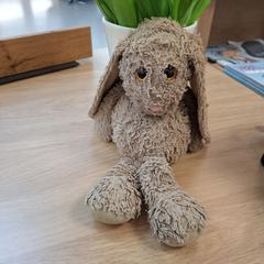 konijn knuffel がiLostに報告されました