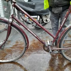 دراجة نسائية Batavus Buin/rood، كما تم الإبلاغ عنه بواسطة Fietsendepot Weert عبر iLost