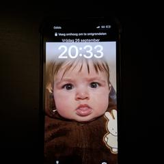 IPHONE, gerapporteerd met iLost