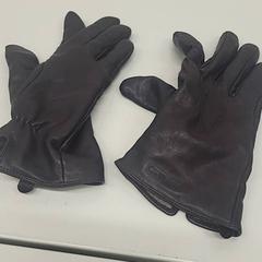 Luvas, segundo informou Transdev Gooi en Vechtstreek usando iLost