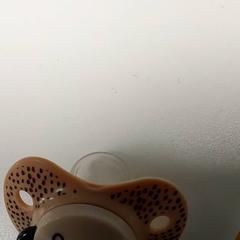 Diverse Fopspeen/ TuT, zoals gemeld door Centraal magazijn met iLost