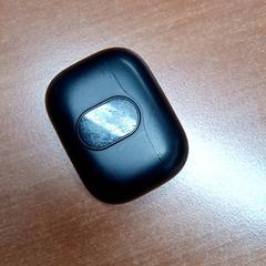 Oortjes Zwart がiLostで Regio Limburg - Leuven によって報告されました