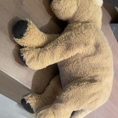 おもちゃ Knuffel がiLostで Pathé Arnhem によって報告されました