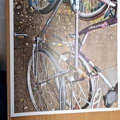 Bicikli Batavus Grijs, amint azt Gemeente Roermond az iLost segítségével jelentette.